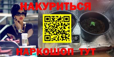 мяу мяу мука Краснокаменск