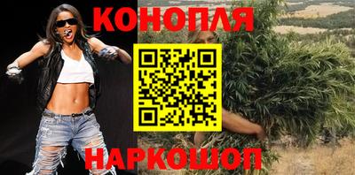крисы Краснодар