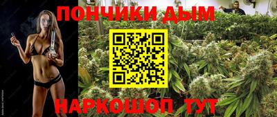крисы Краснодар