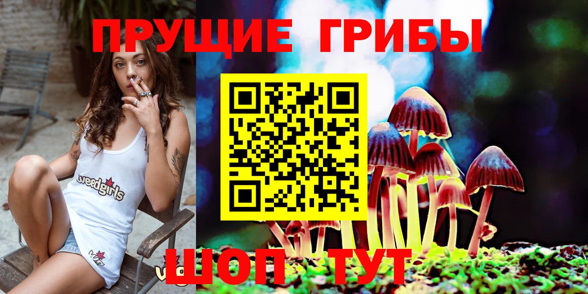 Галлюциногенные грибы Magic Shrooms  Вход с VPN  как найти закладки  Галлюциногенные грибы GOLDEN TEACHER  Дубна 